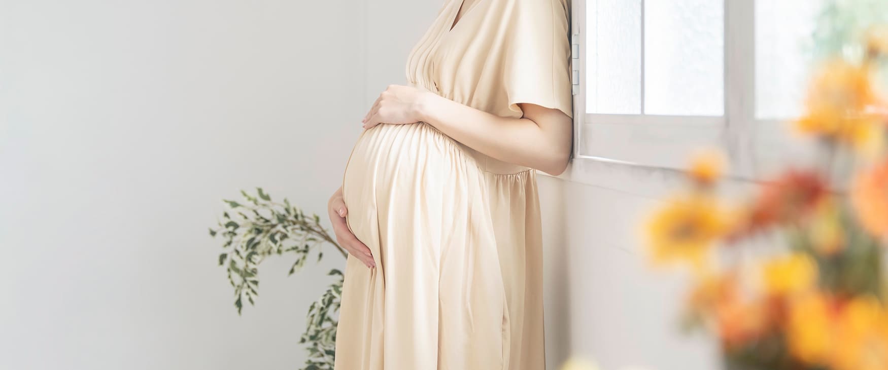 妊婦イメージ画像