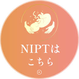 NIPTはこちら
